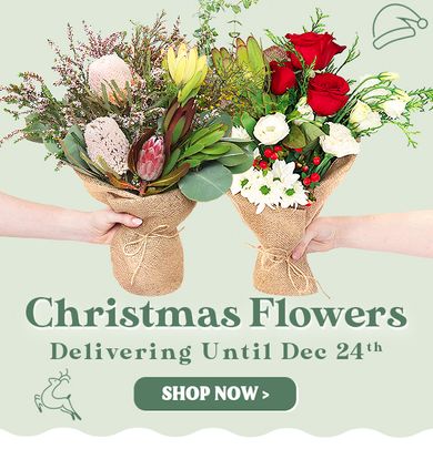 Christmas Flowers