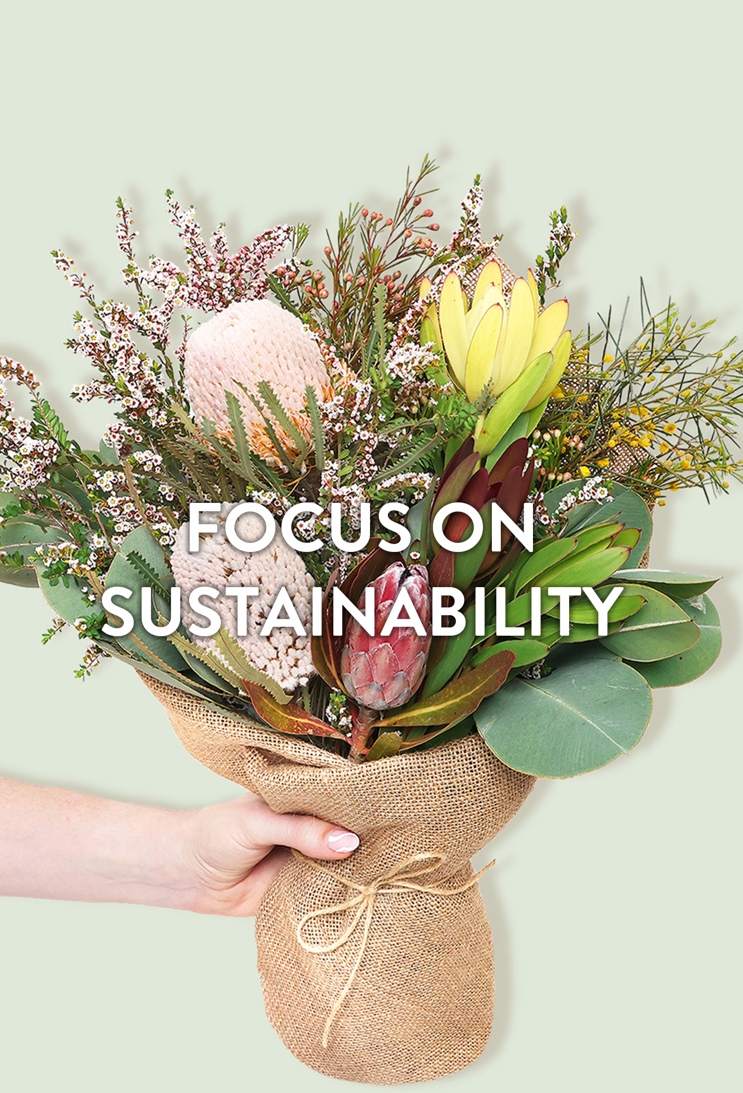 Focus on Sustainability