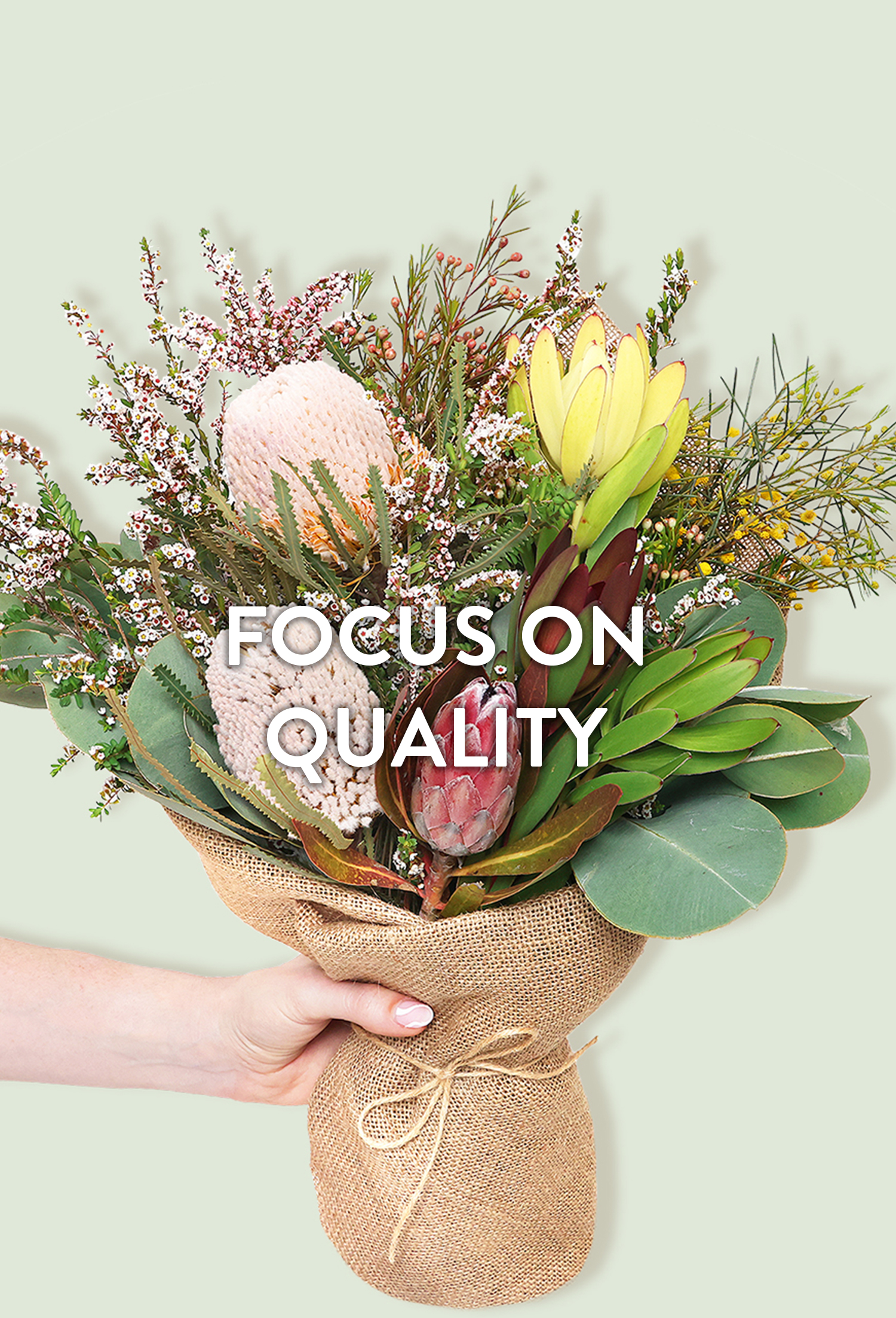 Focus on Quality