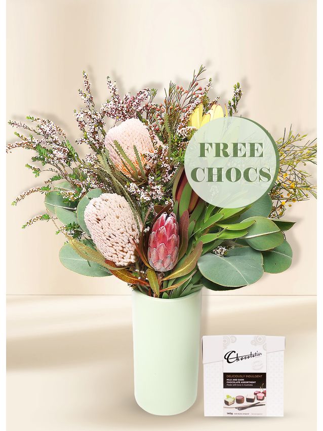 Native Seasonal Regular with Free Chocs