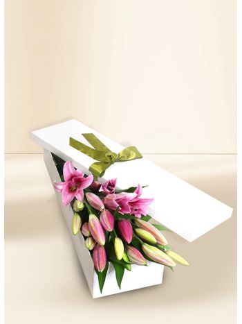 Oriental Lilies Elegant Pink 10