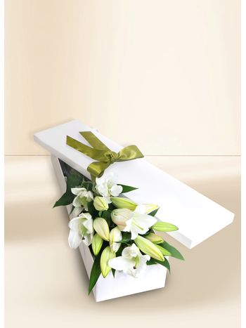Oriental Lilies Elegant White 10