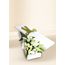Oriental Lilies Elegant White 10