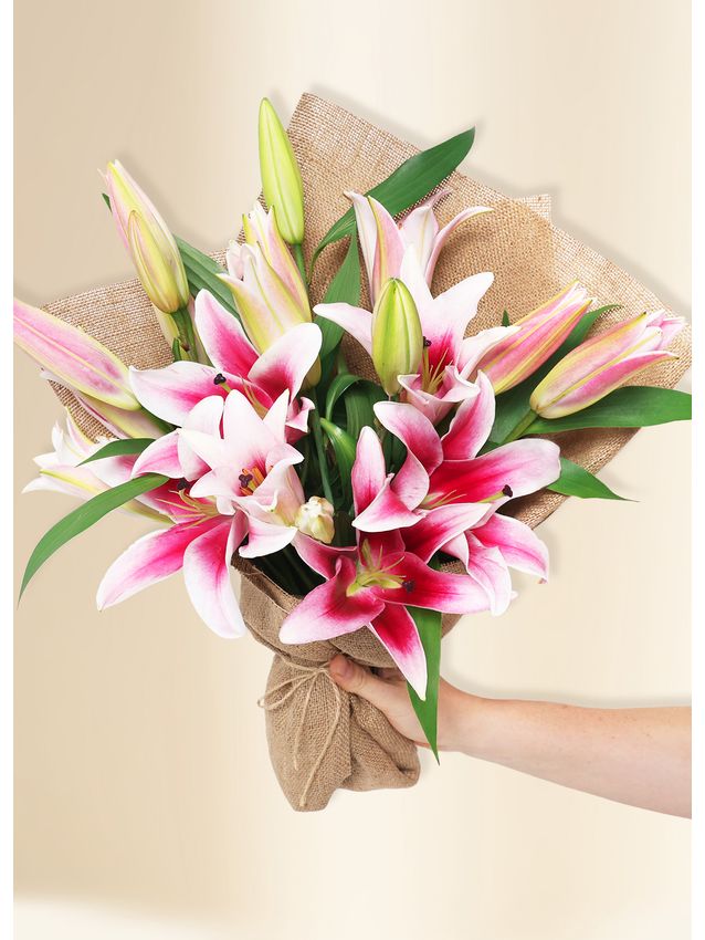 Oriental Lilies - In Vogue Pink (10)