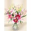 Oriental Lilies - In Vogue Pink (10)