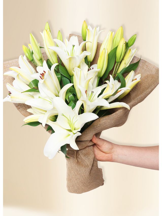 Oriental Lilies - In Vogue White (10)