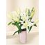 Oriental Lilies - In Vogue White (5)