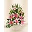 Oriental Lilies - Stunning (5)