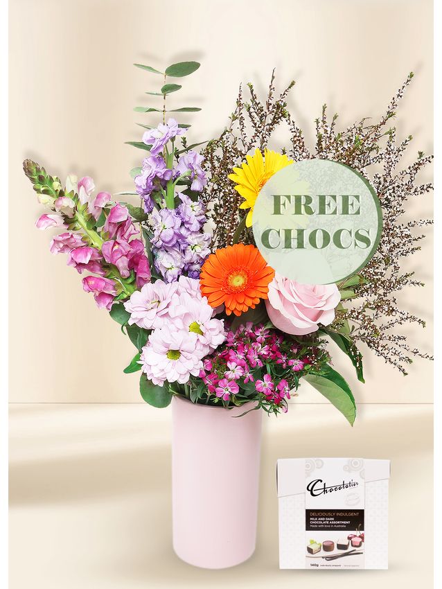 Bright Seasonal Regular with Free Chocs