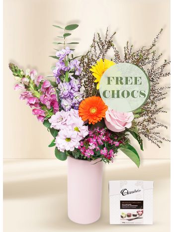 Bright Seasonal Regular with Free Chocs