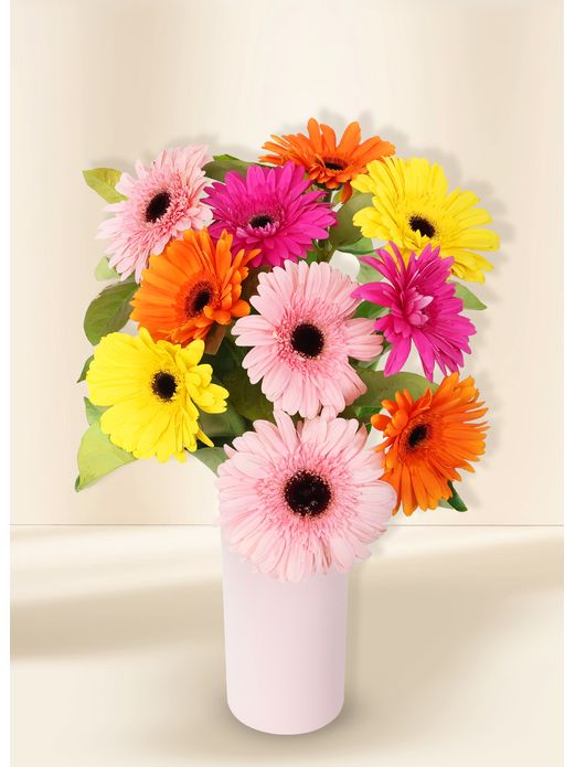 Gerberas - Colour Burst (10)