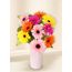 Gerberas - Colour Burst (10)