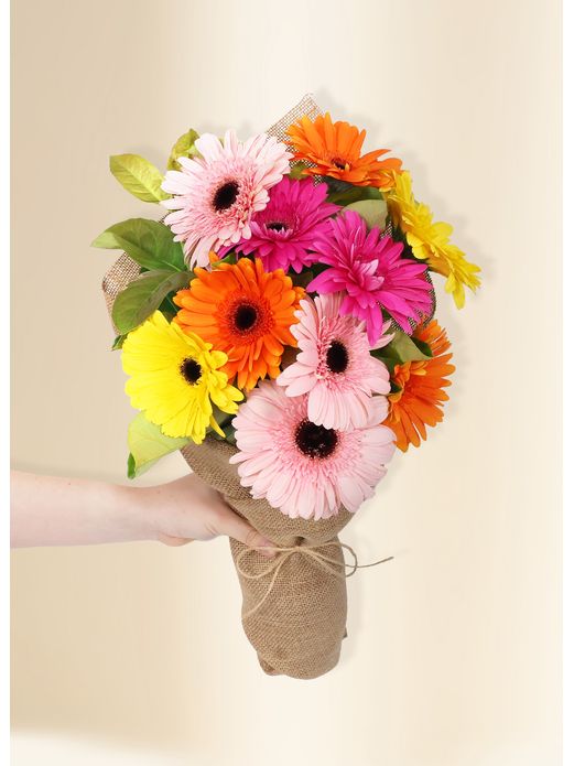 Gerberas - Colour Burst (10)