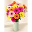 Gerberas - Colour Burst (20)