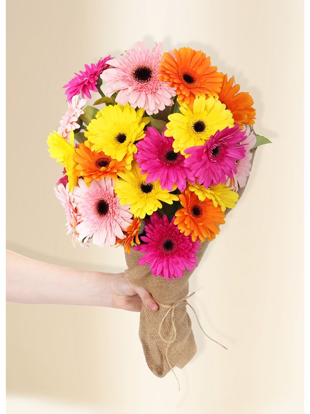 Gerberas - Colour Burst (20)