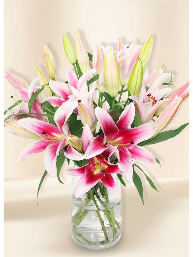 Lilies - In Vogue Pink In Glass Vase (10)