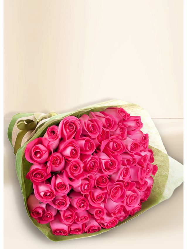 Roses - Pink Stunner