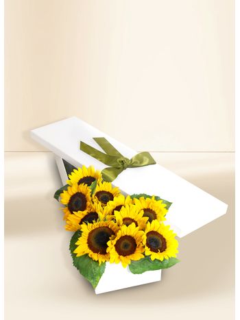 Sunflower Sensation 10