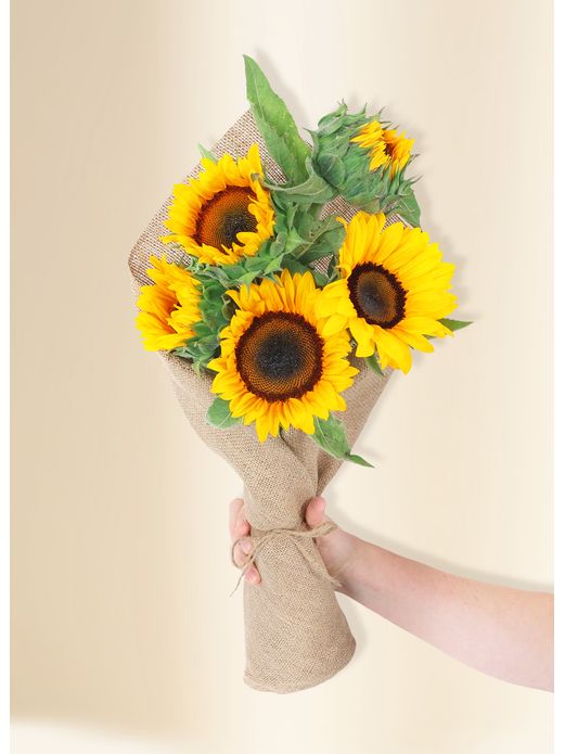 Sunflowers - Sunrise (5)
