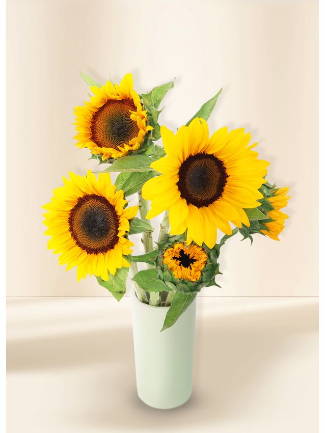 Sunflowers - Sunrise (5)