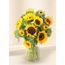 Sunflowers- Sunrise In A Glass Vase (15)