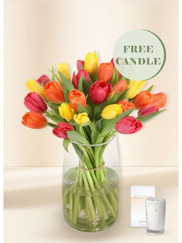 Tulips - Vivid (30) with Free Candle