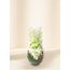 Zen- Orchids (15)