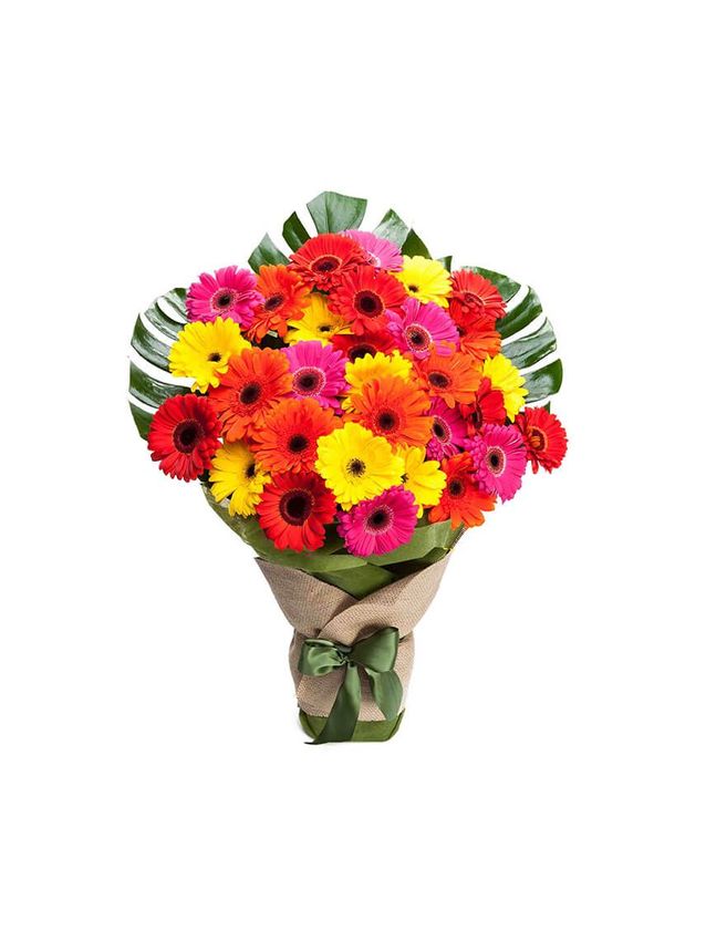 Gerberas - Colour Burst - 30 Stem