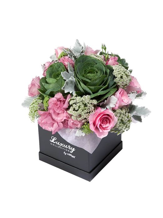 Love in a Box