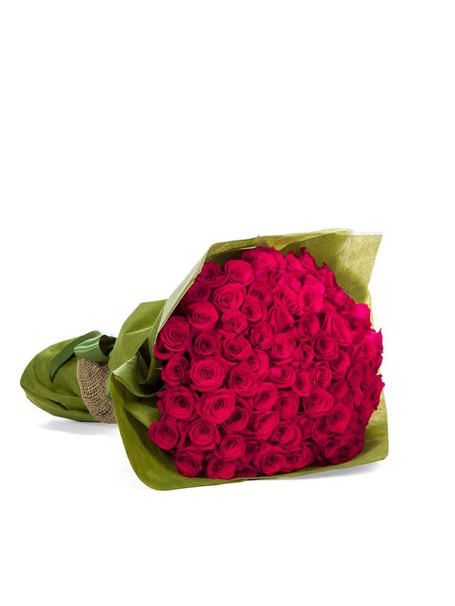 Roses - Enchantment