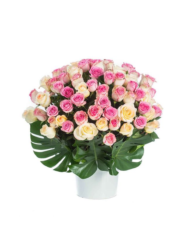 Roses - Sweet Love
