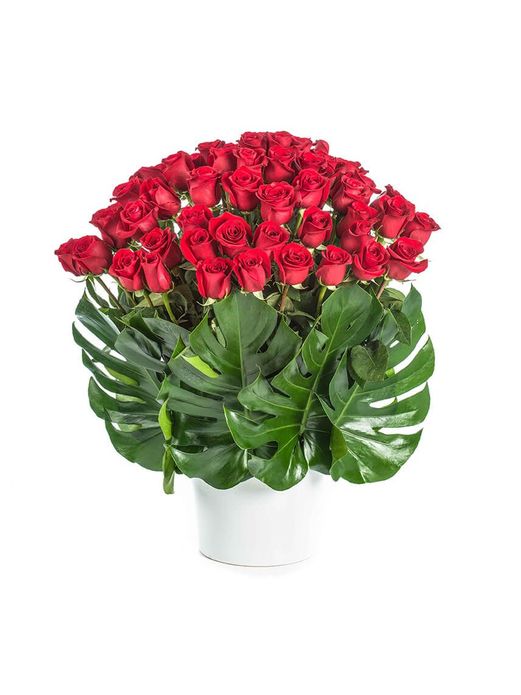 Roses - True Love