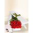 12 Red Rose Stems for Valentine's Day with Chocs, Candle & Card