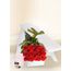 12 Red Rose Stems for Valentine's Day with Chocs & Card