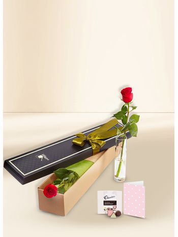 Red Rose - Single Stem for Valentine's Day With Chocs & Card