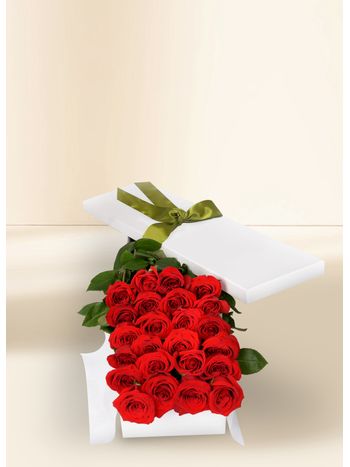 24 Red Rose Stems for Valentine's Day