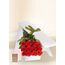 12 Red Rose Stems for Valentine's Day with Chocs & Card