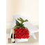 12 Red Rose Stems for Valentine's Day with Chocs & Chandon