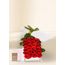 24 Red Rose Stems for Valentine's Day with Chocs & Card