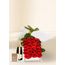24 Red Rose Stems for Valentine's Day with Chocs & Chandon