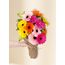 Gerberas - Colour Pop