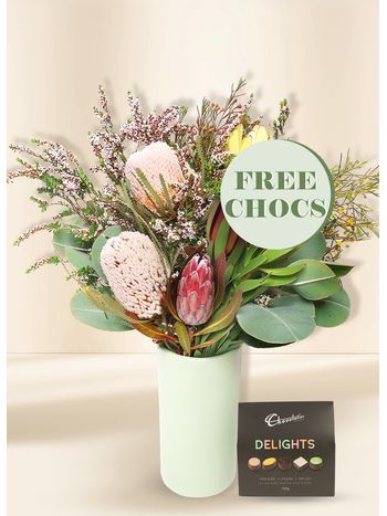 Native Seasonal Regular with Free Chocs