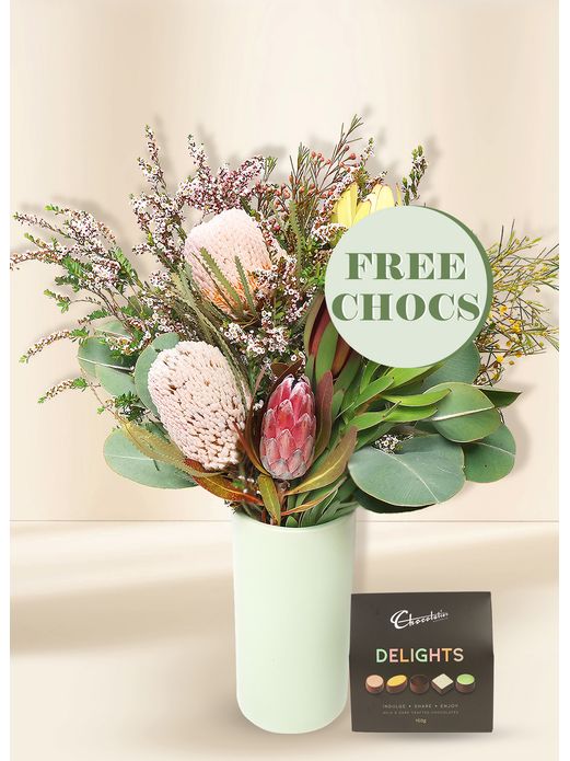 Native Seasonal Regular with Free Chocs
