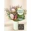 Native Seasonal Regular with Free Chocs