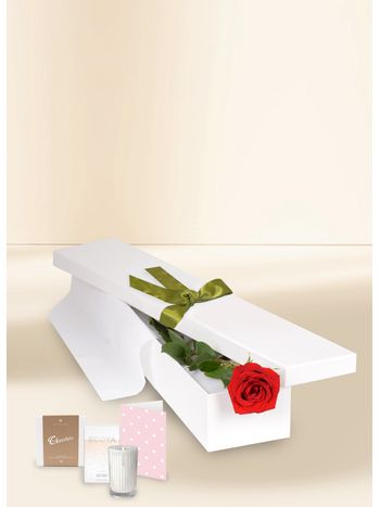 Single Stem Red Rose for Valentine's Day with Chocs, Candle & Card