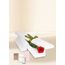 Single Stem Red Rose for Valentine's Day with Chocs, Candle & Card