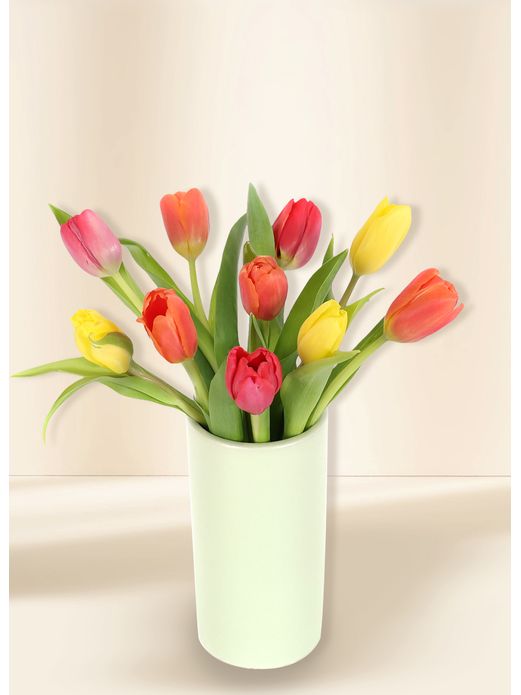 Tulips - Vivid (10)