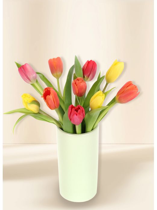 Tulips - Vivid (10)