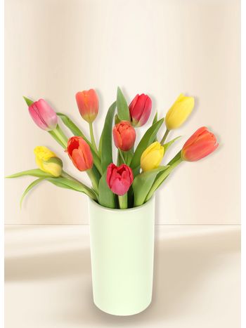 Tulips - Vivid (10)