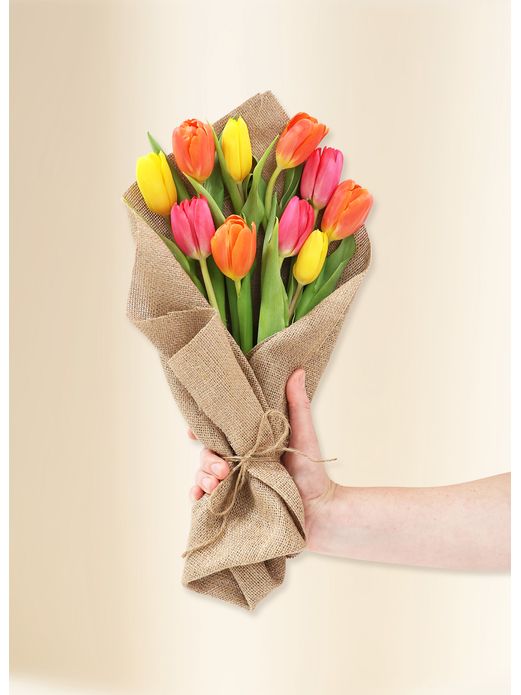 Tulips - Vivid (10)